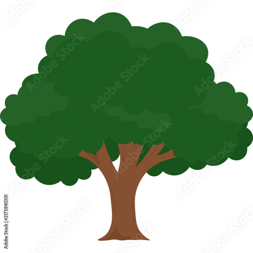 Tree Illustration