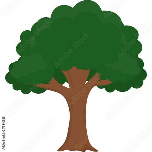 Tree Illustration