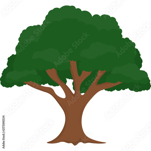 Tree Illustration
