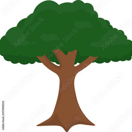 Tree Illustration