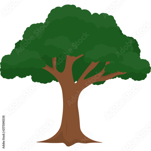 Tree Illustration