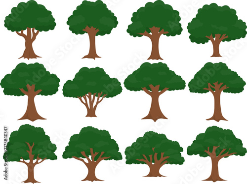 Tree Illustration