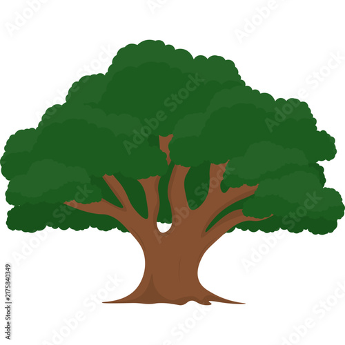Tree Illustration