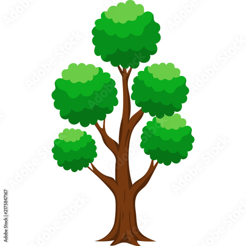 Tree Illustration
