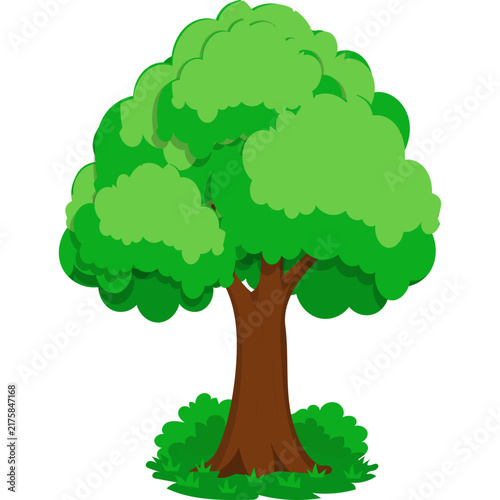 Tree Illustration