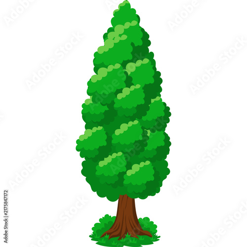 Tree Illustration