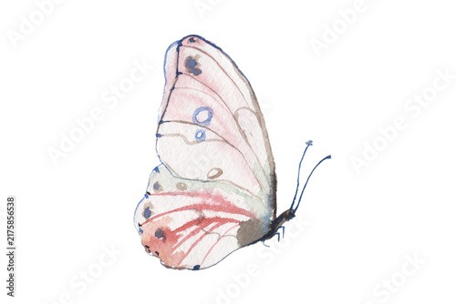Delicate watercolor butterfly with transparent background PNG
