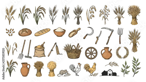 Hand Drawn Harvest Wheat Grain Agriculture Farm Sketch Vector Collection