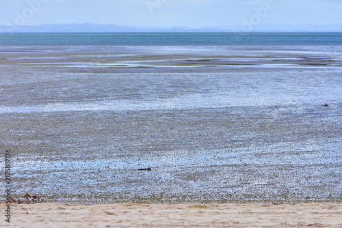 Obraz na płótnie Expansive tidal mudflat at low tide, resembling a coastal intertidal zone like an estuary or tidal flat