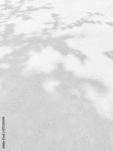 White cement wall background with natural leaf shadow overlay for graphic design