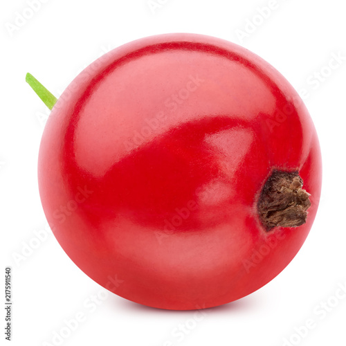 Red currant berry single object. Fresh organic raw redcurrant isolated on white background with clipping path