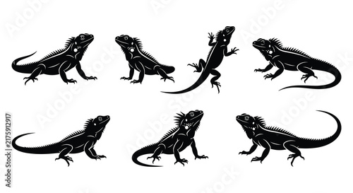 Bearded dragon silhouettes showcase various poses in a vector illustration