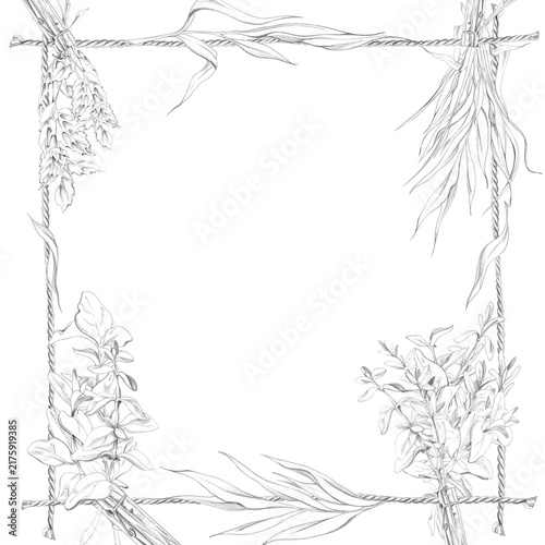 Drying mixed herb bundles on rope with wooden clothespins, aromatic garden plants, harvested seasonings. Handmade botanical arrangement with natural textures. Isolated hand drawn pencil border frame.