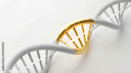 Golden gene editing concept for advanced therapies shown through twisting DNA molecule on clean white background with scientific elegance