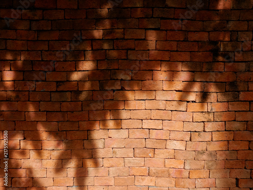 Картината върху платно Outdoor red brick wall lit by harsh afternoon sunlight, with shadow of leaves cast on the wall