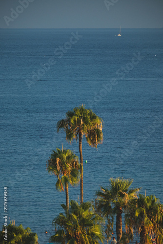 Canvastavla Tropical Palm Trees Overlooking Calm Blue Mediterranean Sea