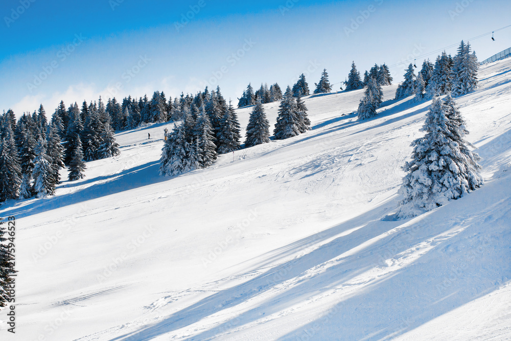 Obraz premium Vibrant panorama of the slopes at ski resort, snow trees, blue sky