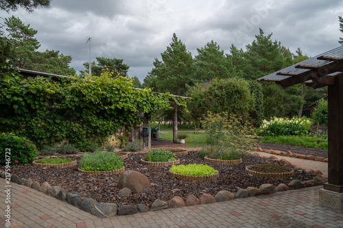 garden view