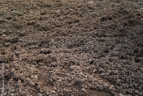 Konstfotografi Close up of soil dirt background texture, perfect for environmental concepts