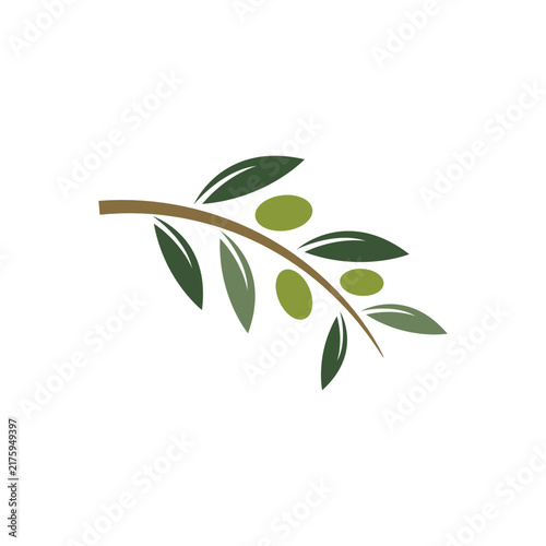 Olive illustration vector