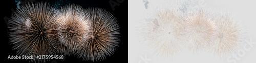 Spectacular Fireworks Overlay with Brilliant Spark Particles