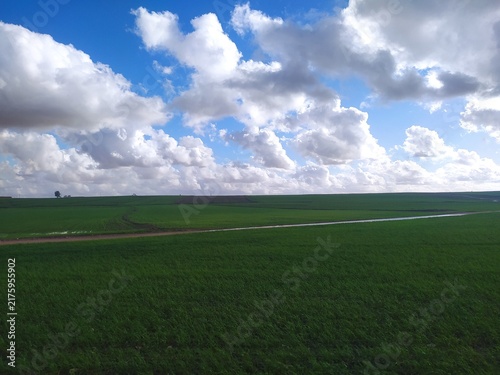 Photography Green agricultural field under dramatic cloudy blue sky in Morocco