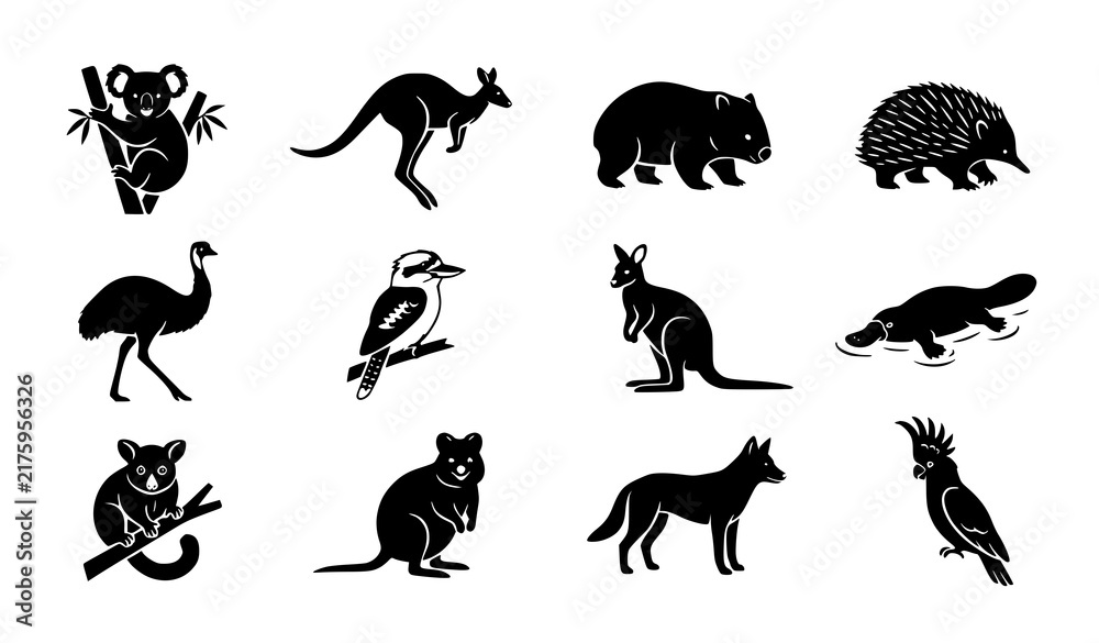 Obraz premium Australian Wildlife Black Vector Silhouettes, Koala Kangaroo Wombat Animal Icons