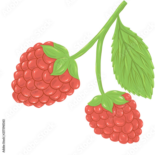 raspberry with leaf