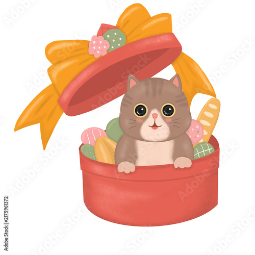 cat in a bucket with gifts