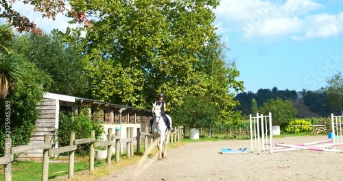Beautiful young female rider walking on her horse 