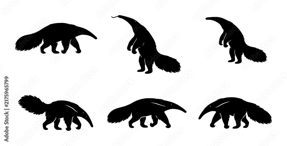 Obraz premium Anteater Silhouettes Collection, Six Diverse Poses, Vector Graphics for Wildlife and Nature Designs