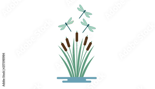 Green dragonflies flying gracefully over bullrushes or cattails growing in water, minimalist nature illustration on white.