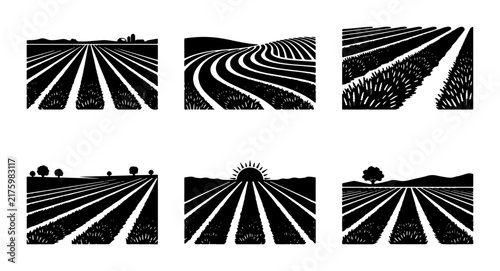 Cultivated Fields Collection, Agricultural Landscapes, Rural Scenery, Black and White Vector Graphics