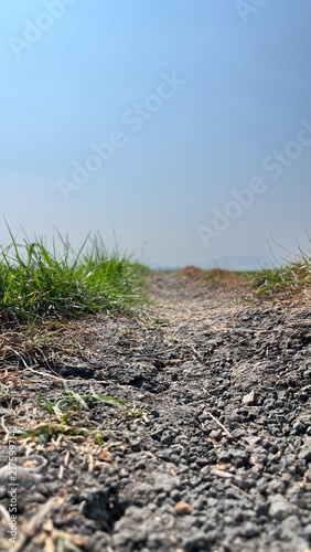 Bild auf Leinwand A close view of a dry, cracked rural track reveals hardened earth and sparse grass during peak seasonal dryness in an authentic Indonesian agricultural landscape
