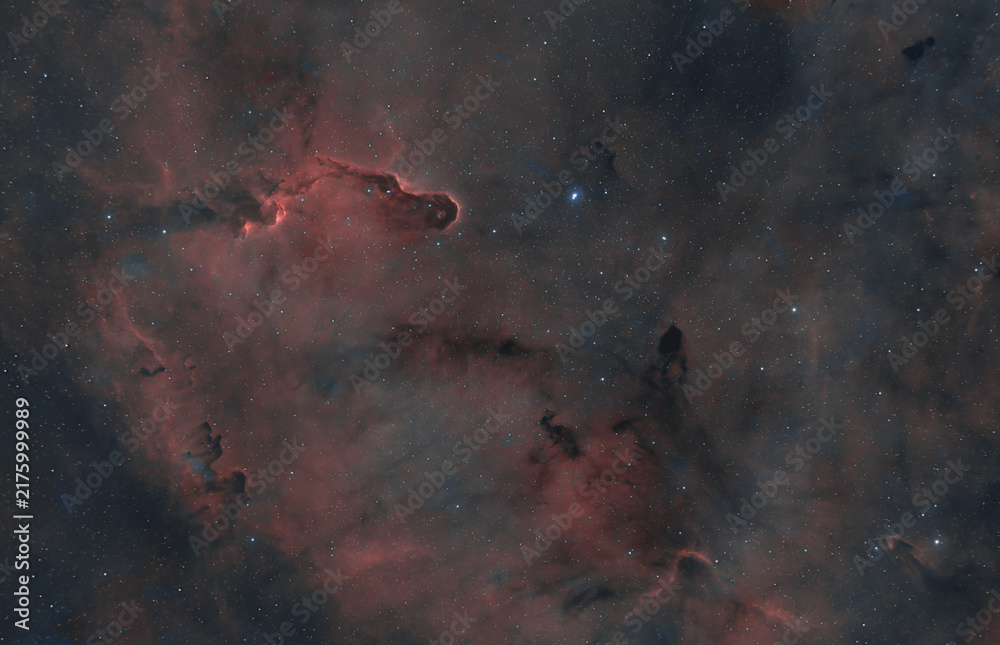 Foto Elephant's Trunk Nebula IC 1396A in Cepheus