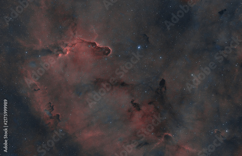 Canvastavla Elephant's Trunk Nebula IC 1396A in Cepheus