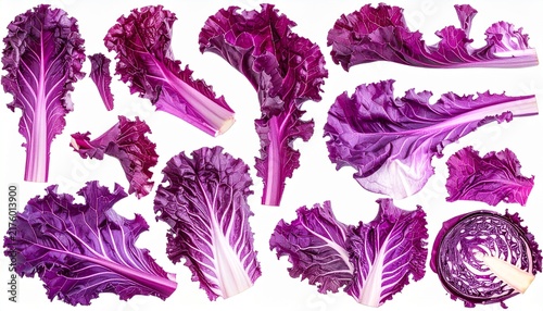 Red cabbage leaves arranged isolated on transparent background
