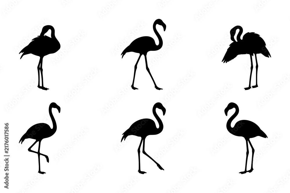 Obraz premium Flamingo Silhouettes, Elegant Bird Poses, Tropical Wildlife Vector Set, Minimalist Black and White Animal Graphics