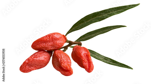 Obraz na plátně Bright red goji berries on a thin branch with green leaves, isolated on transpar