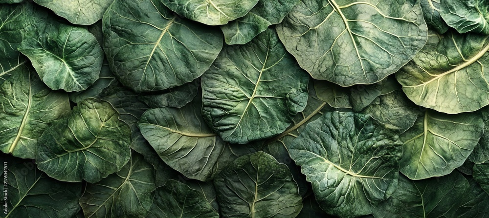 Obraz premium Full Frame Background of Dried Collard Green Leaves Featuring Brittle Texture and Earthy Green Tones