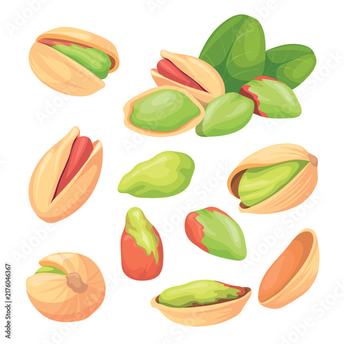 Pistachios. Cartoon pistachio, isolated nut ripe pistache shell dry pistachi nuts nutshell pistacia kernel snack vegetarian cooking healthy natural food, neat vector illustration