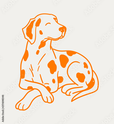 Hand Drawn Dalmatian Dog Sitting and Looking Up Illustration