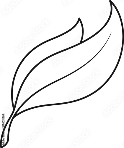 Simple line art illustration of three overlapping leaves