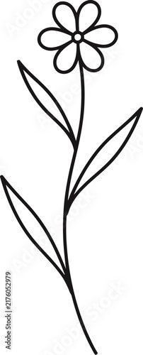 Simple floral sketch of a delicate wildflower on white background
