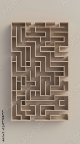 A top-down view of a rectangular wooden maze with multiple paths and dead ends.