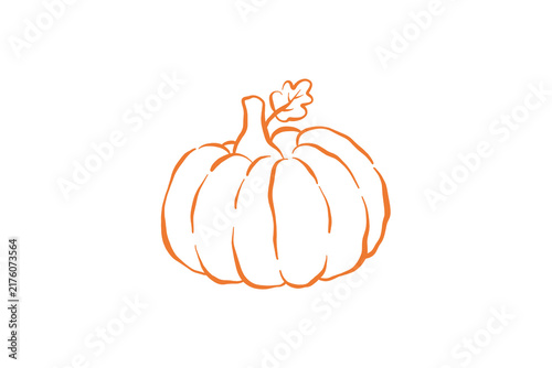 Hand drawn traditional autumn harvest pumpkin outline illustration for thanksgiving Design