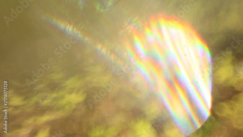 Garden behind the house in a sunbeam fantasy background