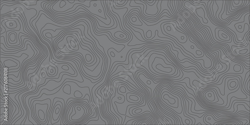 Abstract topographic contour lines texture pattern. Seamless map background with elevation curves. Vector graphic for topography mapping and geographic design project.