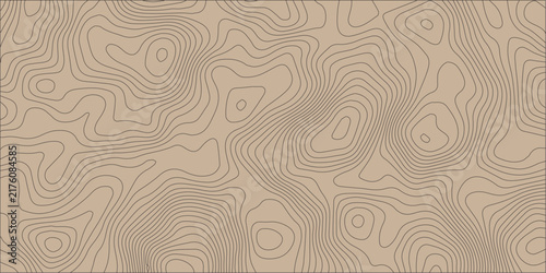 Topographic Map seamless pattern. Brown elevation contour lines background, terrain altitude curves, depth texture.