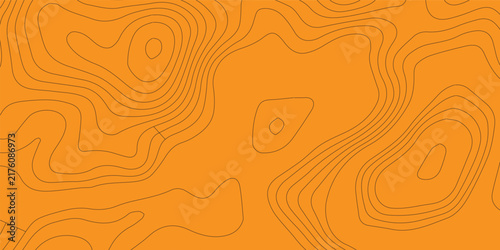 Orange Contour Lines Topographic Map Pattern.Vector Background Texture with Elevation Lines.Octopus Mame Pattern Design.Minimalist Orange Landform Map Lines.